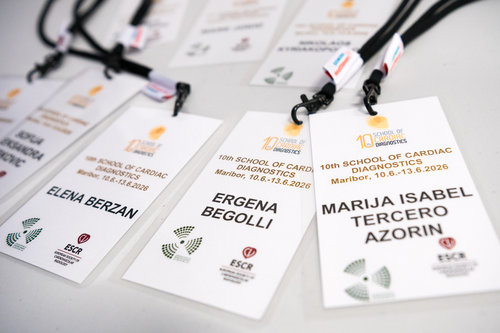 10th School of Cardiac Diagnostics, day 1 / Photo: Saša Huzjak / SHtudio.eu